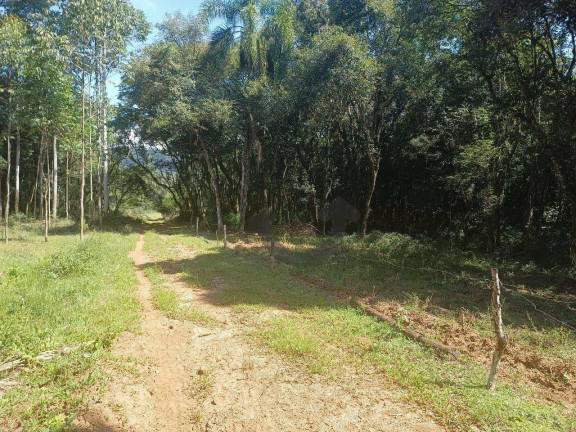 Imagem Chácara à Venda, 110 m² em Linha Travessa - Santa Cruz Do Sul Imagem Chácara à Venda, 110 m² em Linha Travessa - Santa Cruz Do Sul