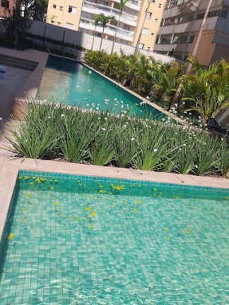 Imagem Apartamento com 3 Quartos à Venda, 100 m² em Butantã - São Paulo Imagem Apartamento com 3 Quartos à Venda, 100 m² em Butantã - São Paulo
