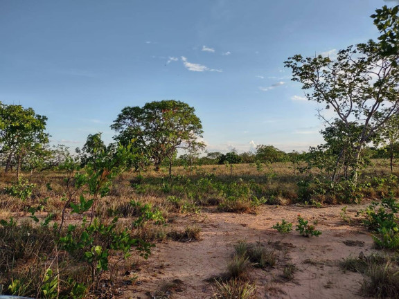 Imagem Fazenda à Venda, 1.046 m² em Arinos - Arinos
