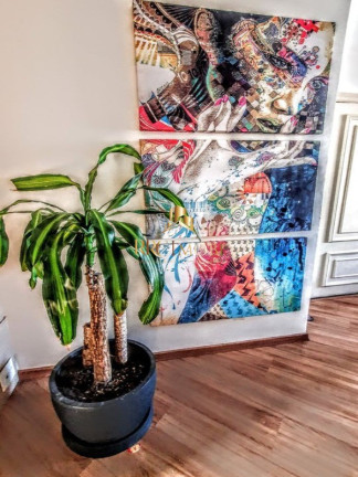 Imagem Apartamento com 3 Quartos à Venda, 100 m² em Vila Mascote - São Paulo Imagem Apartamento com 3 Quartos à Venda, 100 m² em Vila Mascote - São Paulo