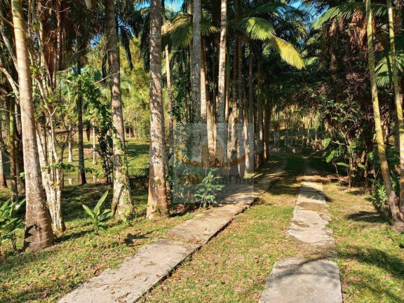 Imagem Fazenda à Venda, 72.000 m² em Padre André - Jacupiranga Imagem Fazenda à Venda, 72.000 m² em Padre André - Jacupiranga