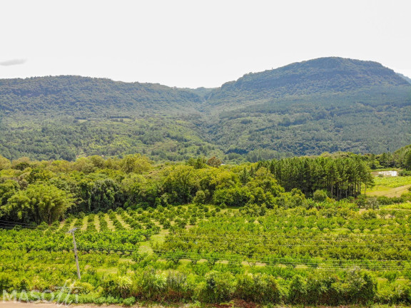 Imagem Chácara à Venda, 216.000 m² em Linha 28 - Gramado Imagem Chácara à Venda, 216.000 m² em Linha 28 - Gramado