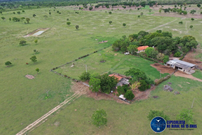 Imagem Fazenda à Venda, 1 m² em Zona Rural - Araguaiana Imagem Fazenda à Venda, 1 m² em Zona Rural - Araguaiana