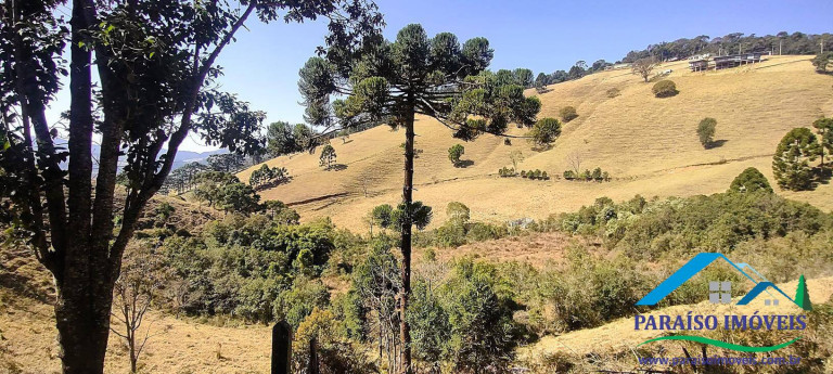 Imagem Chácara à Venda, 20 m² em Centro - Gonçalves