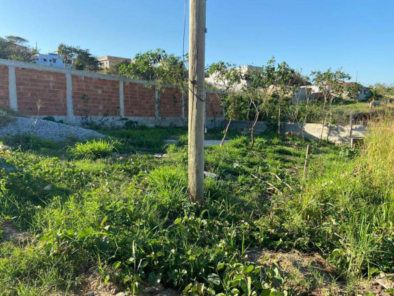 Imagem Terreno à Venda, 486 m² em Parque Dois Meninos - São Pedro Da Aldeia Imagem Terreno à Venda, 486 m² em Parque Dois Meninos - São Pedro Da Aldeia