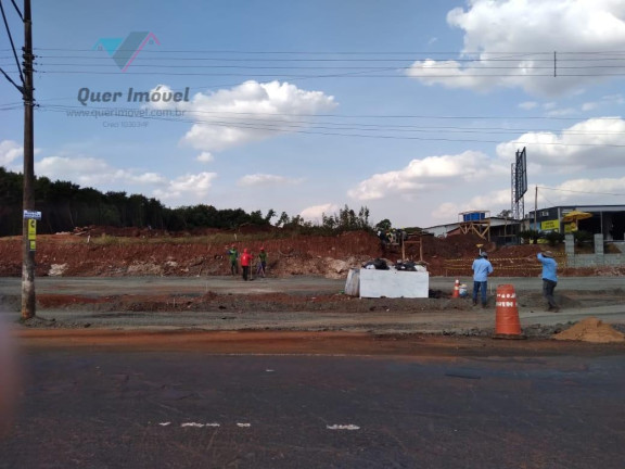 Terreno à Venda, 11.000 m² em Ipiranga - Ribeirão Preto