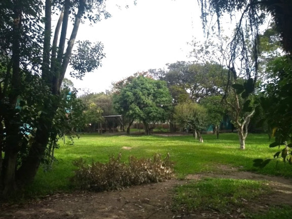Imagem Imóvel com 4 Quartos à Venda, 150 m² em Lami - Porto Alegre Imagem Imóvel com 4 Quartos à Venda, 150 m² em Lami - Porto Alegre