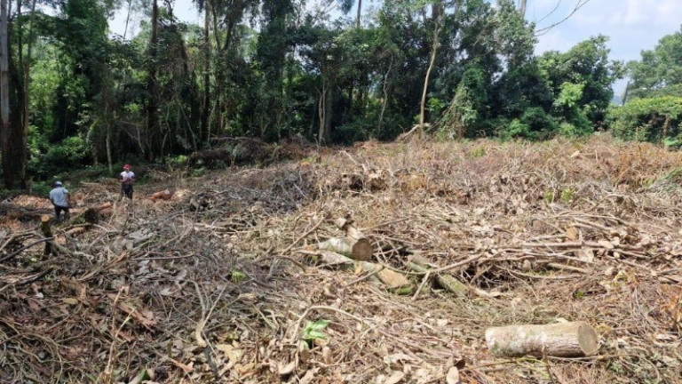 Imagem Imóvel à Venda, 1.403 m² em Algarve - Cotia Imagem Imóvel à Venda, 1.403 m² em Algarve - Cotia