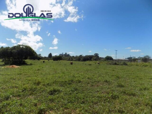 Imagem Terreno à Venda, 1.100 m² em águas Claras - Viamão