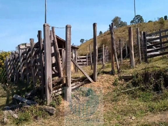 Imagem Imóvel com 4 Quartos à Venda, 540.628 m² em Zona Rural - Biguatinga