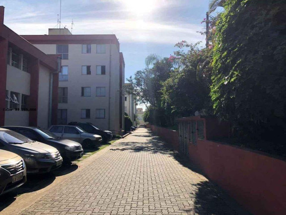 Imagem Apartamento com 2 Quartos à Venda, 50 m² em Jardim Casa Pintada - São Paulo