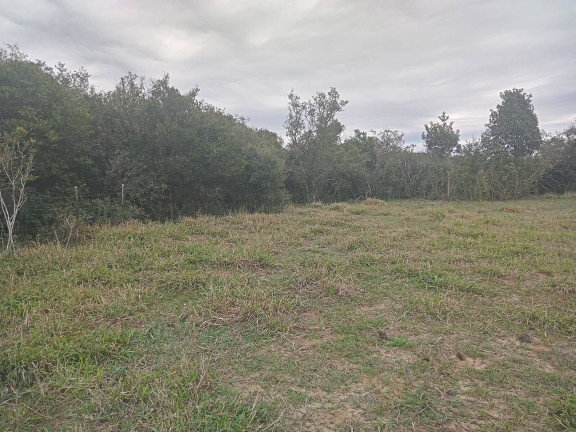 Imagem Chácara com 2 Quartos à Venda, 20.000 m² em águas Claras - Viamão