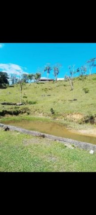Imagem Imóvel à Venda, 42.500 m² em Matulao - Tijucas Do Sul Imagem Imóvel à Venda, 42.500 m² em Matulao - Tijucas Do Sul