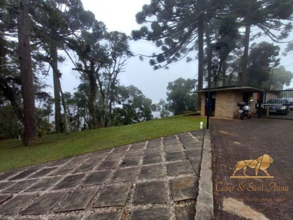 Imagem Terreno em Condomínio à Venda, 1.000 m² em Alto Boa Vista - Campos Do Jordão Imagem Terreno em Condomínio à Venda, 1.000 m² em Alto Boa Vista - Campos Do Jordão