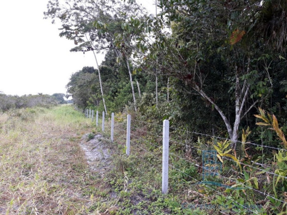 Imagem Terreno à Venda, 48.691 m² em Itinga - Araquari