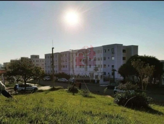 Imagem Apartamento com 2 Quartos à Venda, 40 m² em Protásio Alves - Porto Alegre Imagem Apartamento com 2 Quartos à Venda, 40 m² em Protásio Alves - Porto Alegre