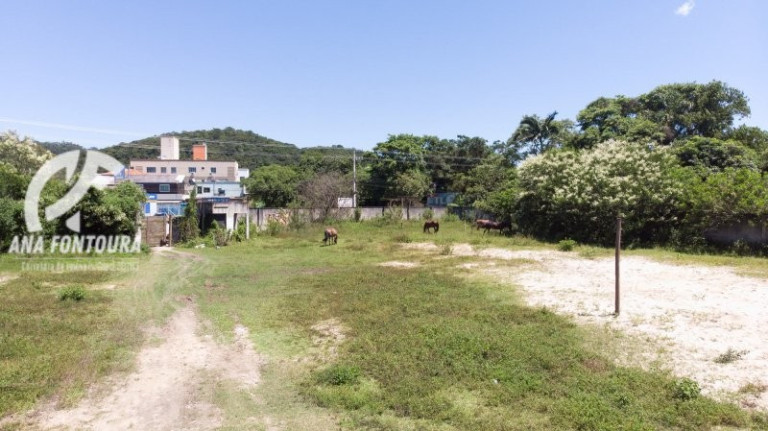 Imagem Imóvel à Venda, 3.875 m² em São Francisco De Assis - Camboriú