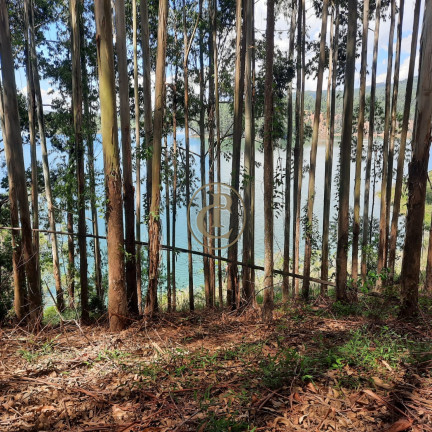 Imagem Fazenda à Venda, 100 m² em Lagoa - Paraibuna