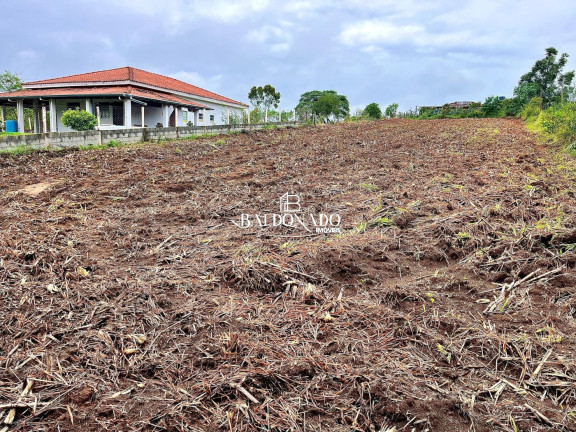 Imagem Terreno à Venda, 1.800 m² em Centro - Toledo Imagem Terreno à Venda, 1.800 m² em Centro - Toledo