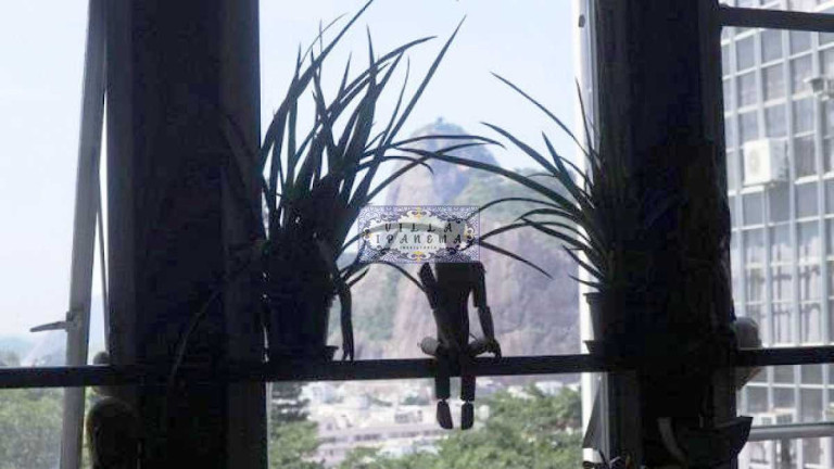 Imagem Apartamento com 3 Quartos à Venda, 114 m² em Botafogo - Rio De Janeiro Imagem Apartamento com 3 Quartos à Venda, 114 m² em Botafogo - Rio De Janeiro