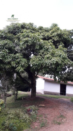 Imagem Chácara com 5 Quartos à Venda, 22.952 m² em Caetê - São Roque