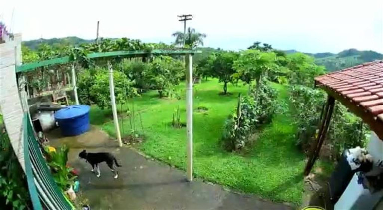 Imagem Imóvel com 3 Quartos à Venda, em Tres Barras - Serra Negra Imagem Imóvel com 3 Quartos à Venda, em Tres Barras - Serra Negra