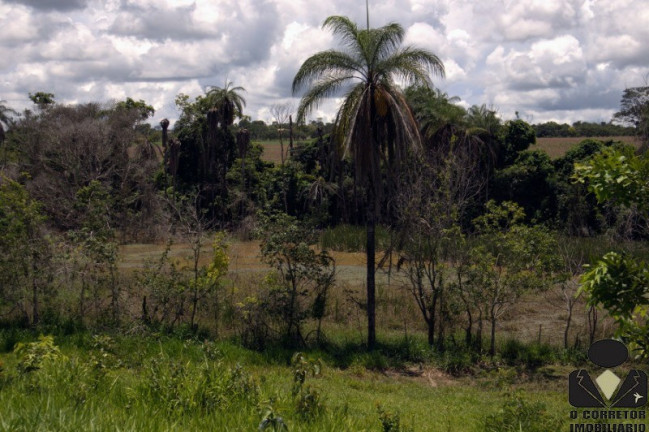 Imagem Imóvel à Venda, 20.000 m² em Fazendinhas Guará - Jequitibá Imagem Imóvel à Venda, 20.000 m² em Fazendinhas Guará - Jequitibá