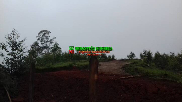 Imagem Chácara à Venda, 30.000 m² em Centro - Monteiro Lobato Imagem Chácara à Venda, 30.000 m² em Centro - Monteiro Lobato