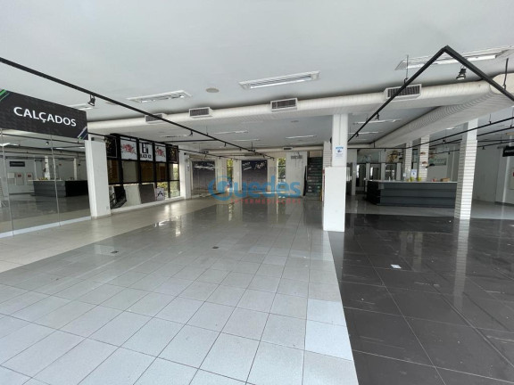 Imagem Sala Comercial para Alugar, 560 m² em Portal Do Morumbi - São Paulo