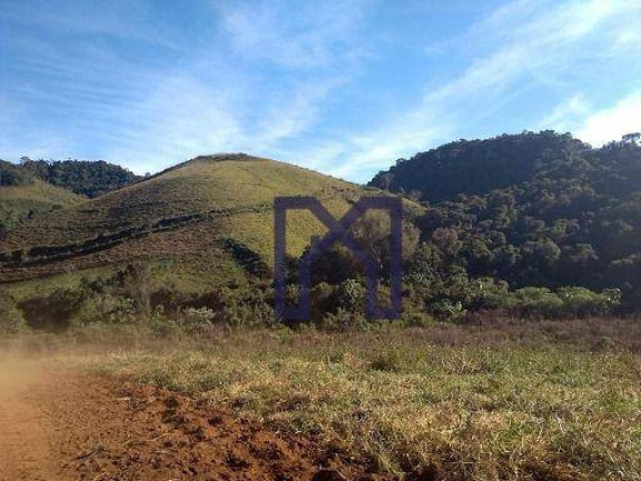 Imagem Fazenda à Venda, 145.000 m² em Zona Rural - Maria Da Fé
