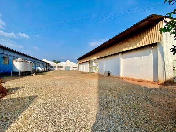 Imagem Galpão à Venda, 5.000 m² em Terra Preta - Mairiporã Imagem Galpão à Venda, 5.000 m² em Terra Preta - Mairiporã
