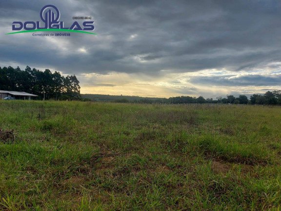 Imagem Chácara à Venda, 20.000 m² em Viamão Imagem Chácara à Venda, 20.000 m² em Viamão