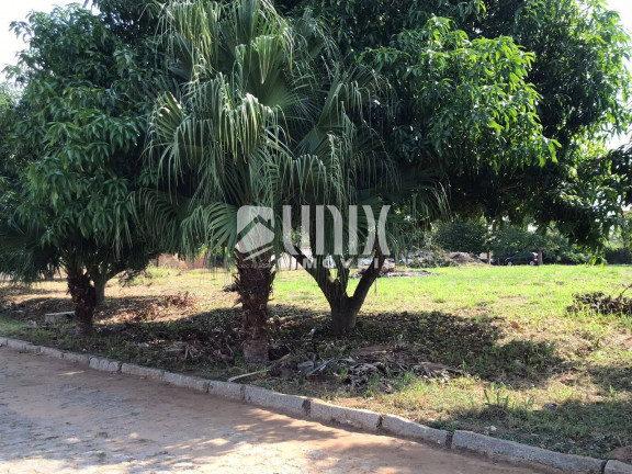 Imagem Terreno à Venda, 238 m² em Parque Pecuária - Campos Dos Goytacazes Imagem Terreno à Venda, 238 m² em Parque Pecuária - Campos Dos Goytacazes