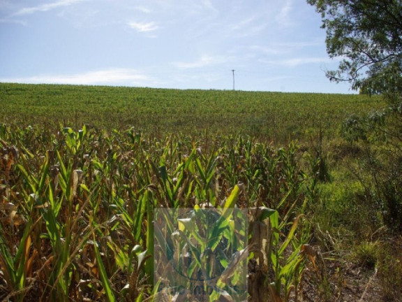 Imagem Imóvel com 2 Quartos à Venda, 665.000 m² em Zona Rural - Jacui Imagem Imóvel com 2 Quartos à Venda, 665.000 m² em Zona Rural - Jacui