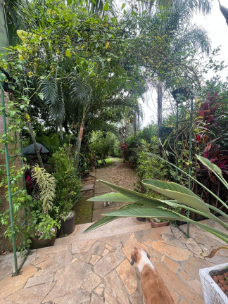 Imagem Imóvel com 4 Quartos à Venda, 350 m² em Jardim Residencial Vale Verde - Sorocaba Imagem Imóvel com 4 Quartos à Venda, 350 m² em Jardim Residencial Vale Verde - Sorocaba
