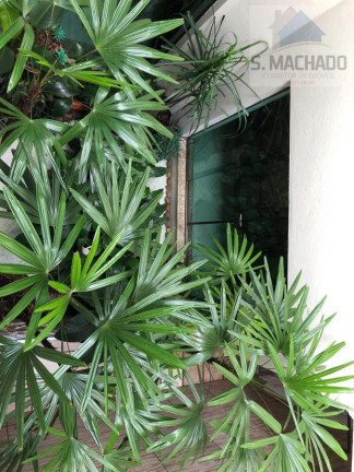Imagem Casa com 3 Quartos à Venda, 240 m² em Vila Curuça - Santo André