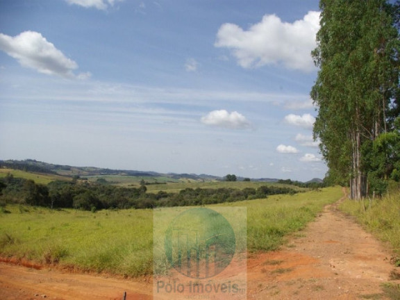Imagem Imóvel com 3 Quartos à Venda, 302.500 m² em Zona Rural - Jacui