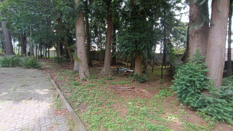 Imagem Terreno à Venda, 666 m² em Ahú - Curitiba Imagem Terreno à Venda, 666 m² em Ahú - Curitiba