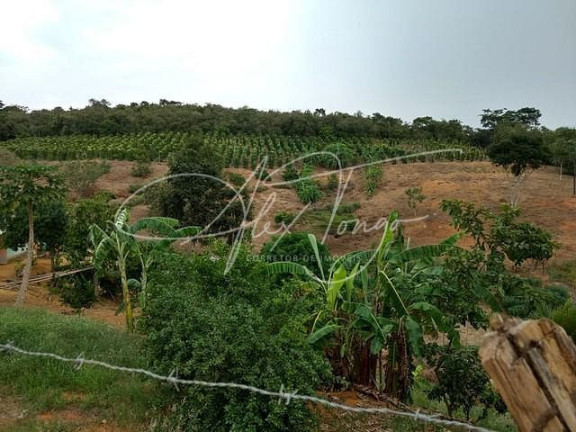 Imagem Fazenda à Venda, 100 m² em Timbuí - Fundão