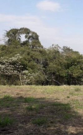 Imagem Imóvel à Venda, 5.000 m² em Traviú - Jundiaí