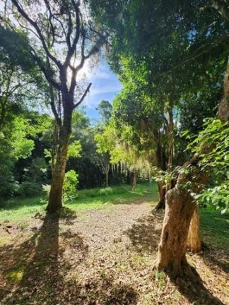 Imagem Imóvel com 3 Quartos à Venda, 51.000 m² em Campo Largo Da Roseira - São José Dos Pinhais Imagem Imóvel com 3 Quartos à Venda, 51.000 m² em Campo Largo Da Roseira - São José Dos Pinhais