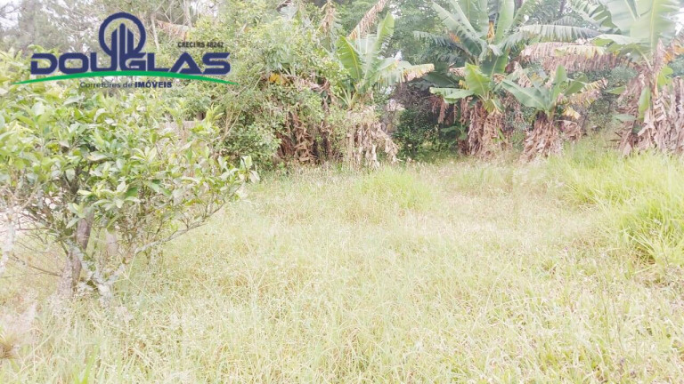 Terreno à Venda, 600 m² em águas Claras - Viamão