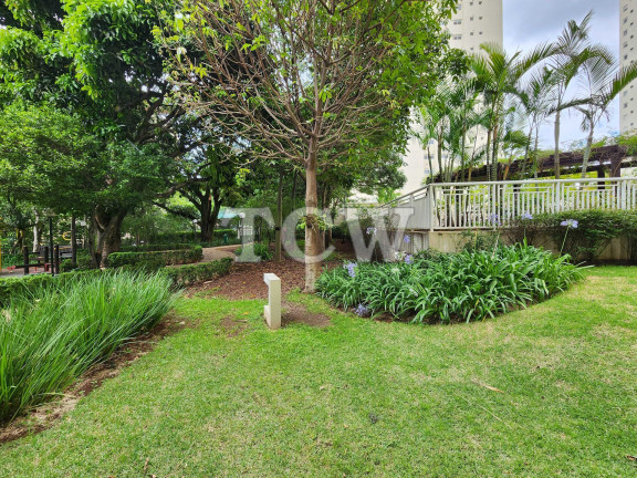 Imagem Apartamento com 3 Quartos à Venda, 133 m² em Aclimação - São Paulo