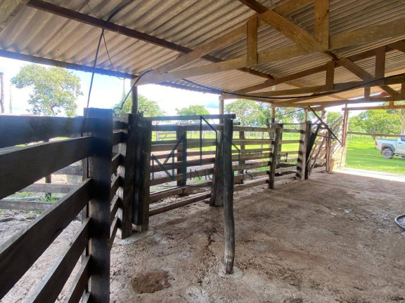 Imagem Chácara à Venda, em Aragoiânia Imagem Chácara à Venda, em Aragoiânia