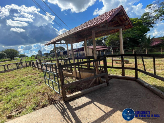Imagem Fazenda à Venda, 40 m² em Zona Rural - Itaberaí Imagem Fazenda à Venda, 40 m² em Zona Rural - Itaberaí