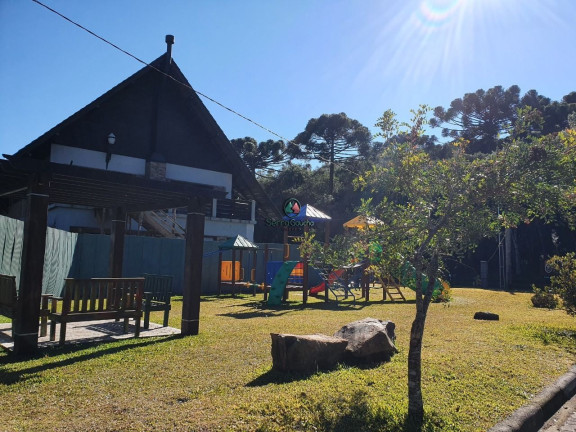 Imagem Terreno à Venda, 1.128 m² em Pinheiro Grosso - Canela Imagem Terreno à Venda, 1.128 m² em Pinheiro Grosso - Canela