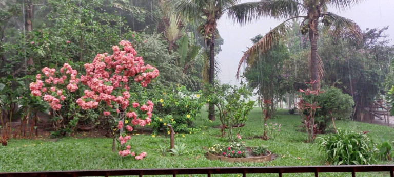 Imagem Chácara com 1 Quarto à Venda, 2 m² em Zona Rural - Bela Vista De Goiás