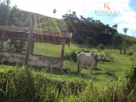 Imagem Fazenda à Venda, 100 m² em Santa Joana - Santa Branca Imagem Fazenda à Venda, 100 m² em Santa Joana - Santa Branca