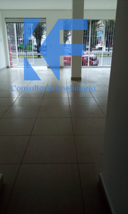Imagem Imóvel com 3 Quartos à Venda, 300 m² em Vila Itapura - Campinas Imagem Imóvel com 3 Quartos à Venda, 300 m² em Vila Itapura - Campinas