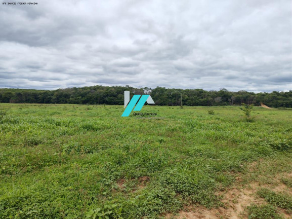 Imagem Fazenda à Venda, 82 m² em Zona Rural - Santo Hipólito Imagem Fazenda à Venda, 82 m² em Zona Rural - Santo Hipólito